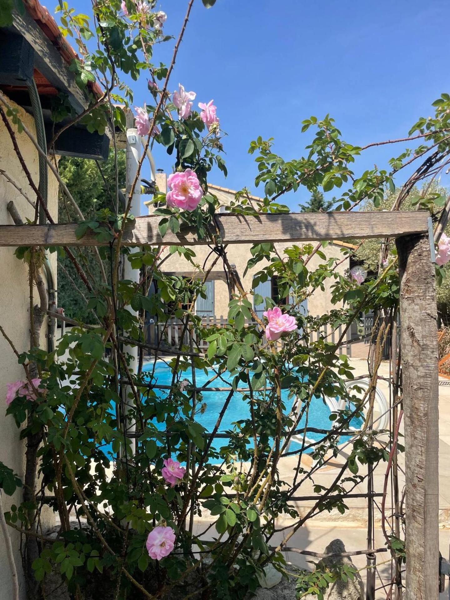 Mas Provencal De 120M2 En Camargue, Avec Piscine Et Parking Inclus, Ideal Pour Des Vacances Αρλ Εξωτερικό φωτογραφία